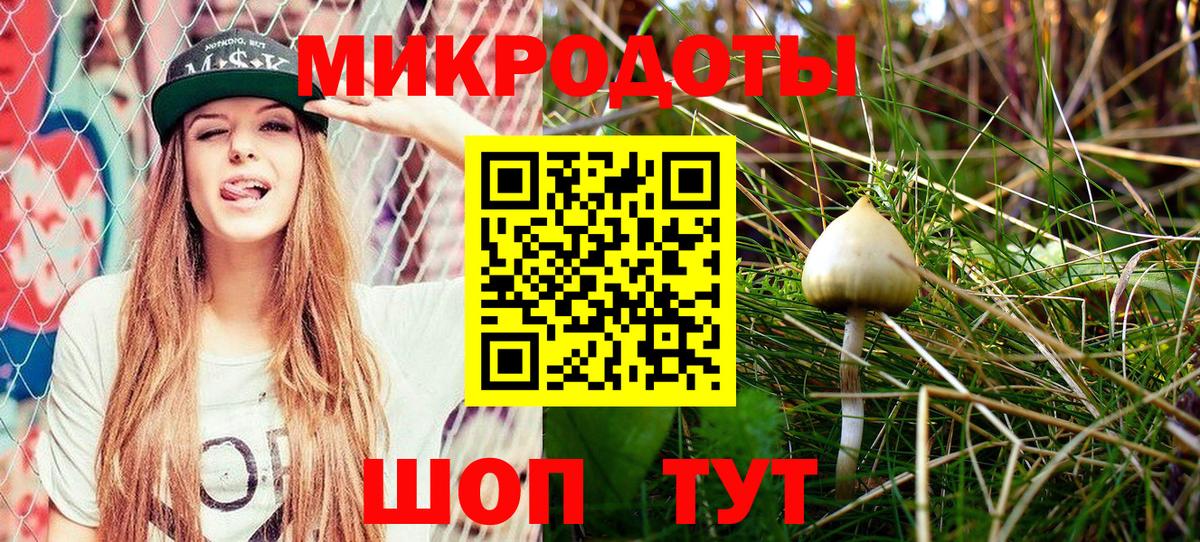 Усть-Джегута  Галлюциногенные грибы прущие грибы  Вход с VPN 