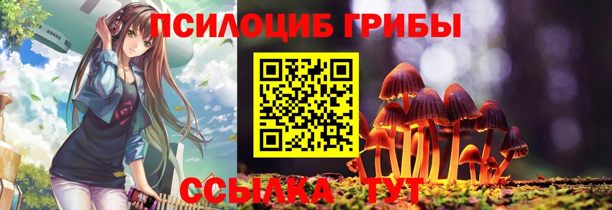 Галлюциногенные грибы Psilocybine cubensis Усть-Джегута